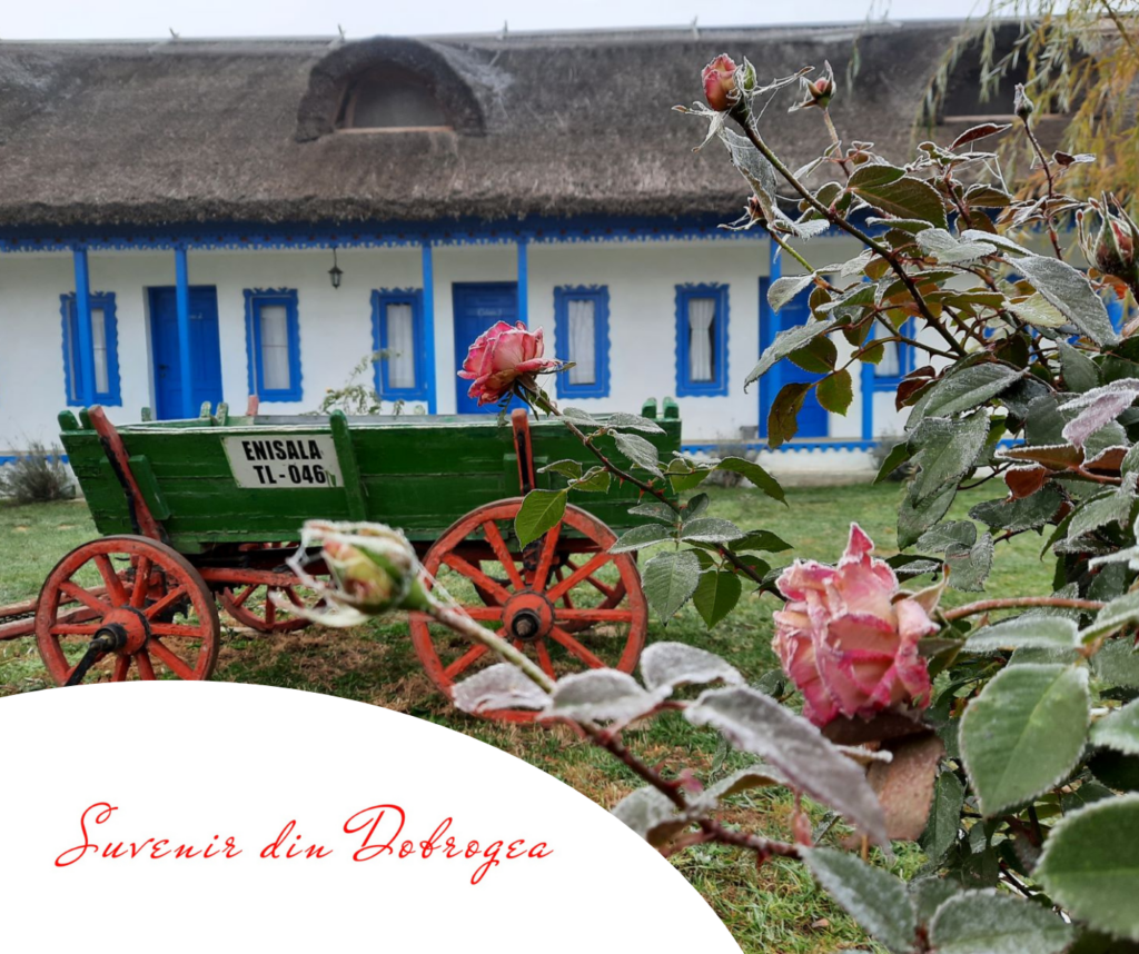 suvenir din Dobrogea